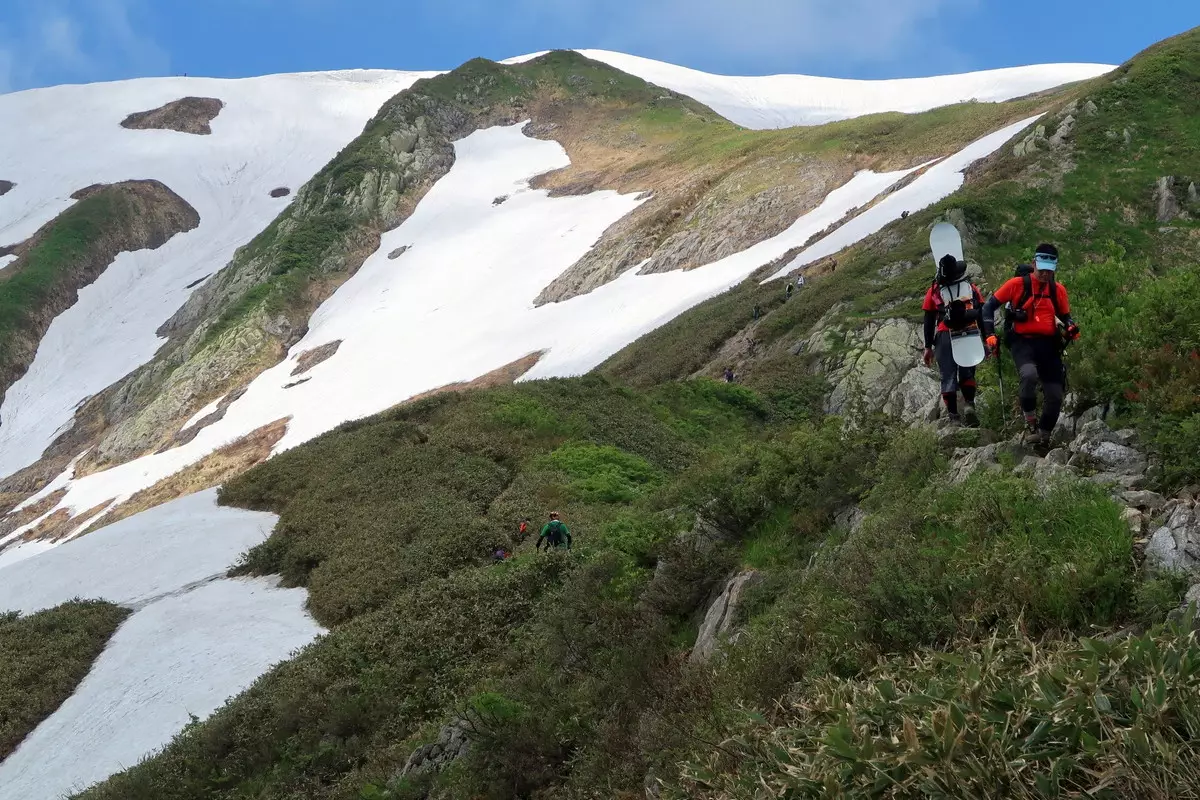越後駒ケ岳で楽しむ初夏のバックカントリー-大雲海に新緑、そして大雪渓を行く。