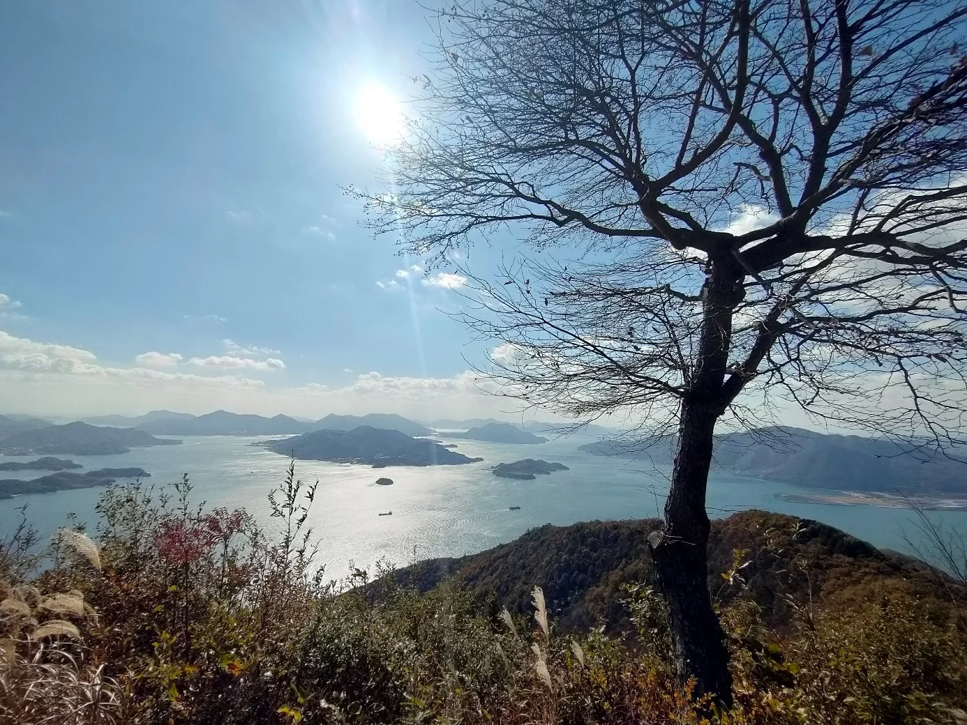 駅からハイキングができる広島の山：鉢ヶ峰～米田山で景色を堪能！みはらし連山