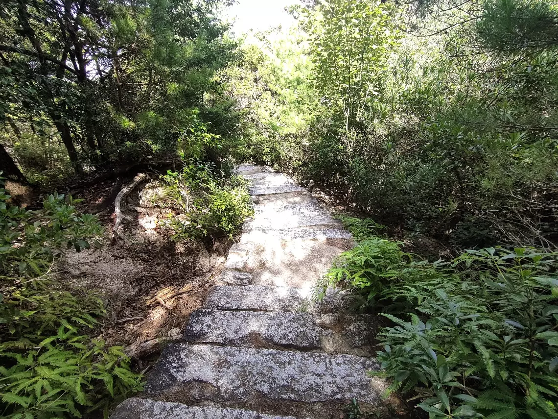 『紅葉谷コース』から登り『大聖院コース』を下りてくる登山コースを紹介