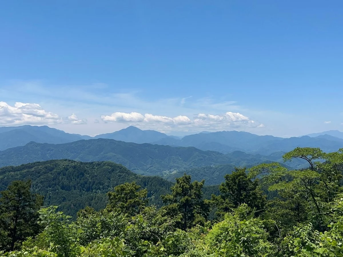 登山のステップアップに！高尾山6号路〜小仏城山のソロ登山レポ