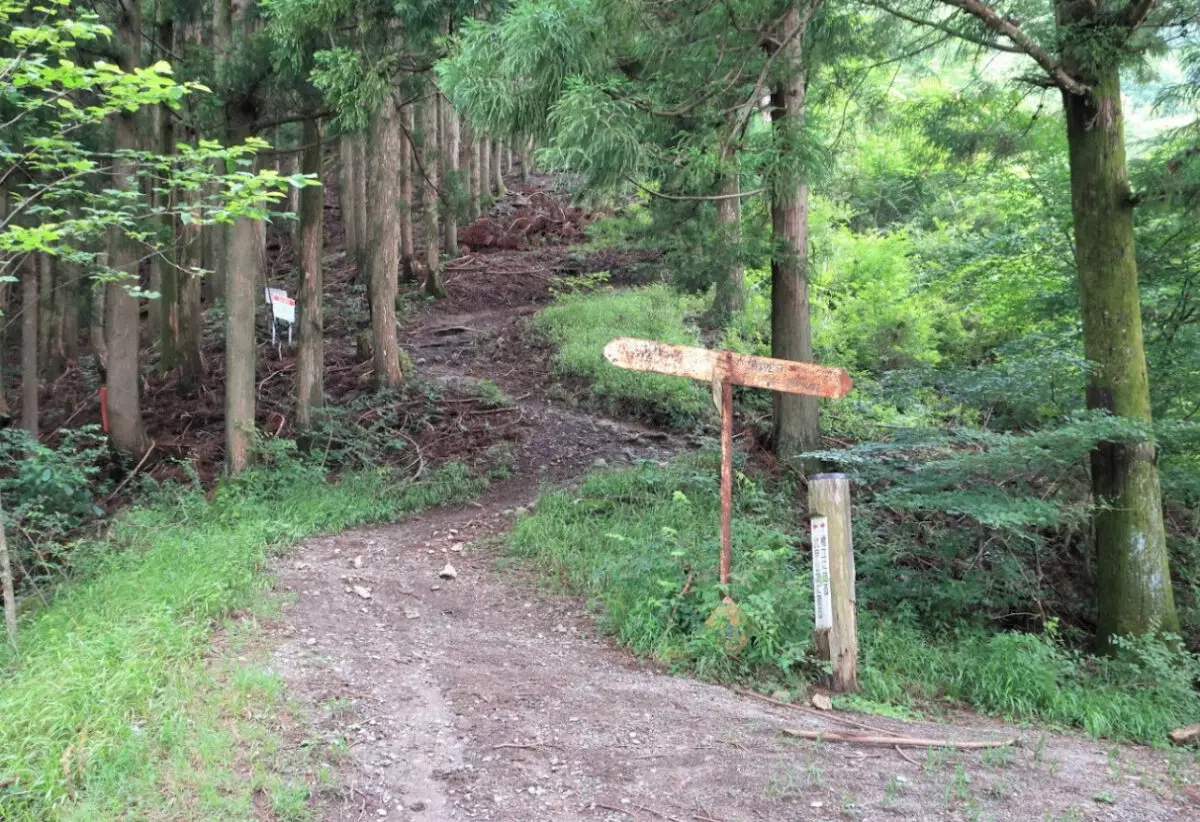 杉林に囲まれたつづら折の急登を武甲山に向かって