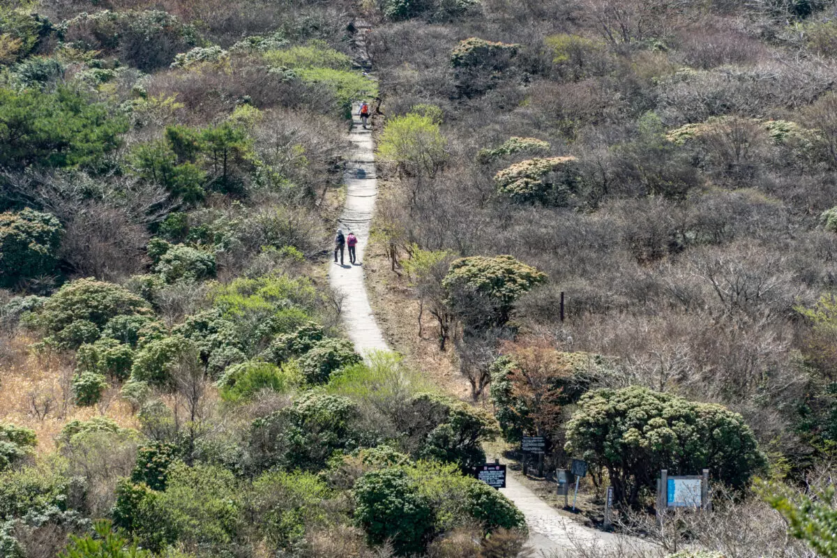 牧ノ戸登山口からの道