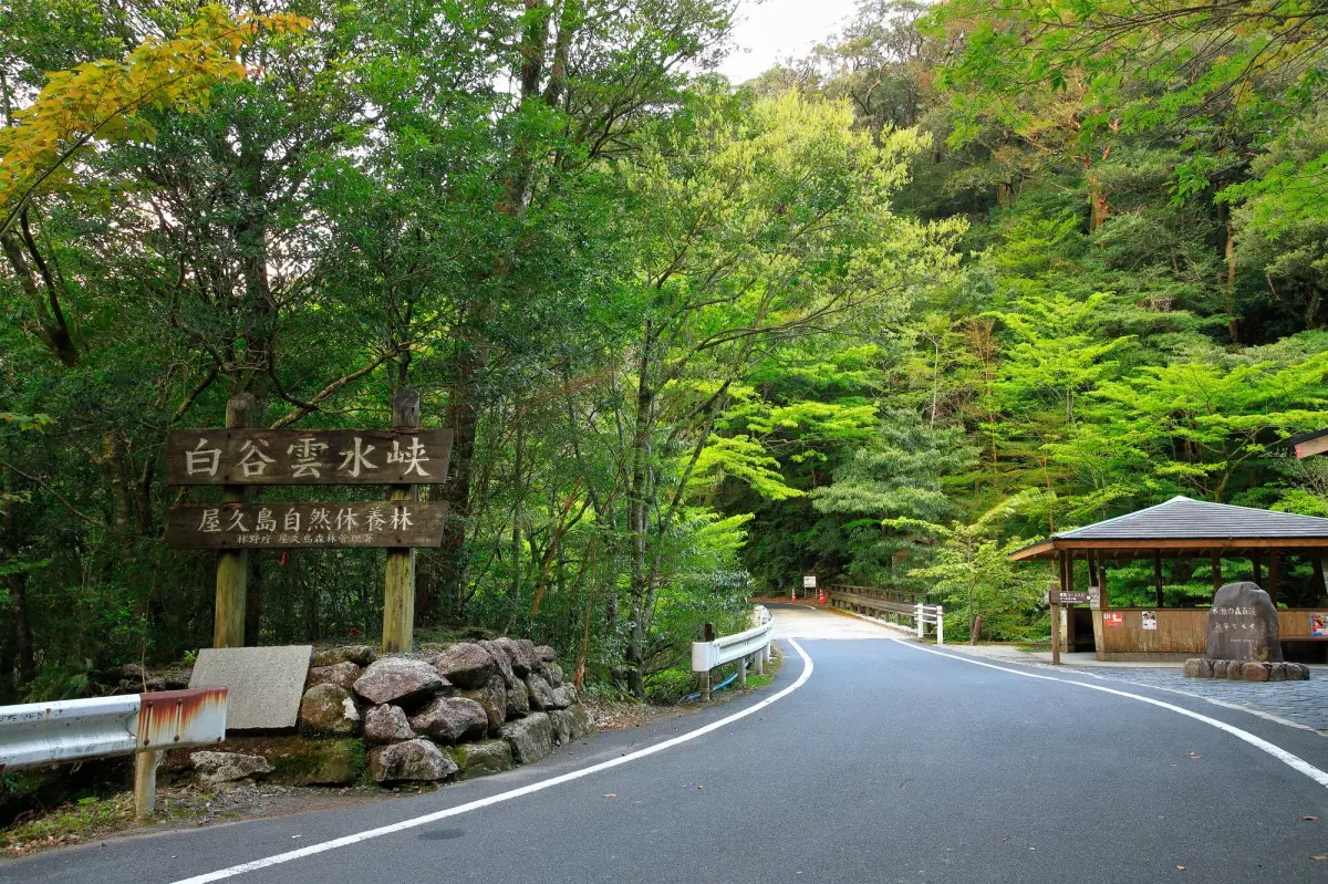 白川雲水峡登山口と道路