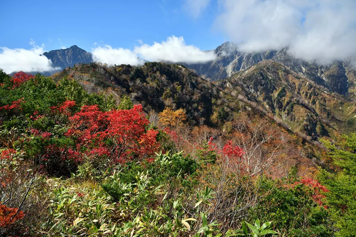 八方尾根からの景色