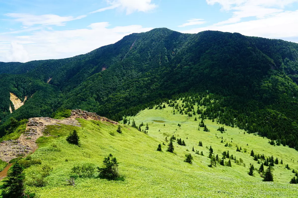 根子岳登山｜難易度別・日帰りコース紹介【花と絶景を楽しむ】