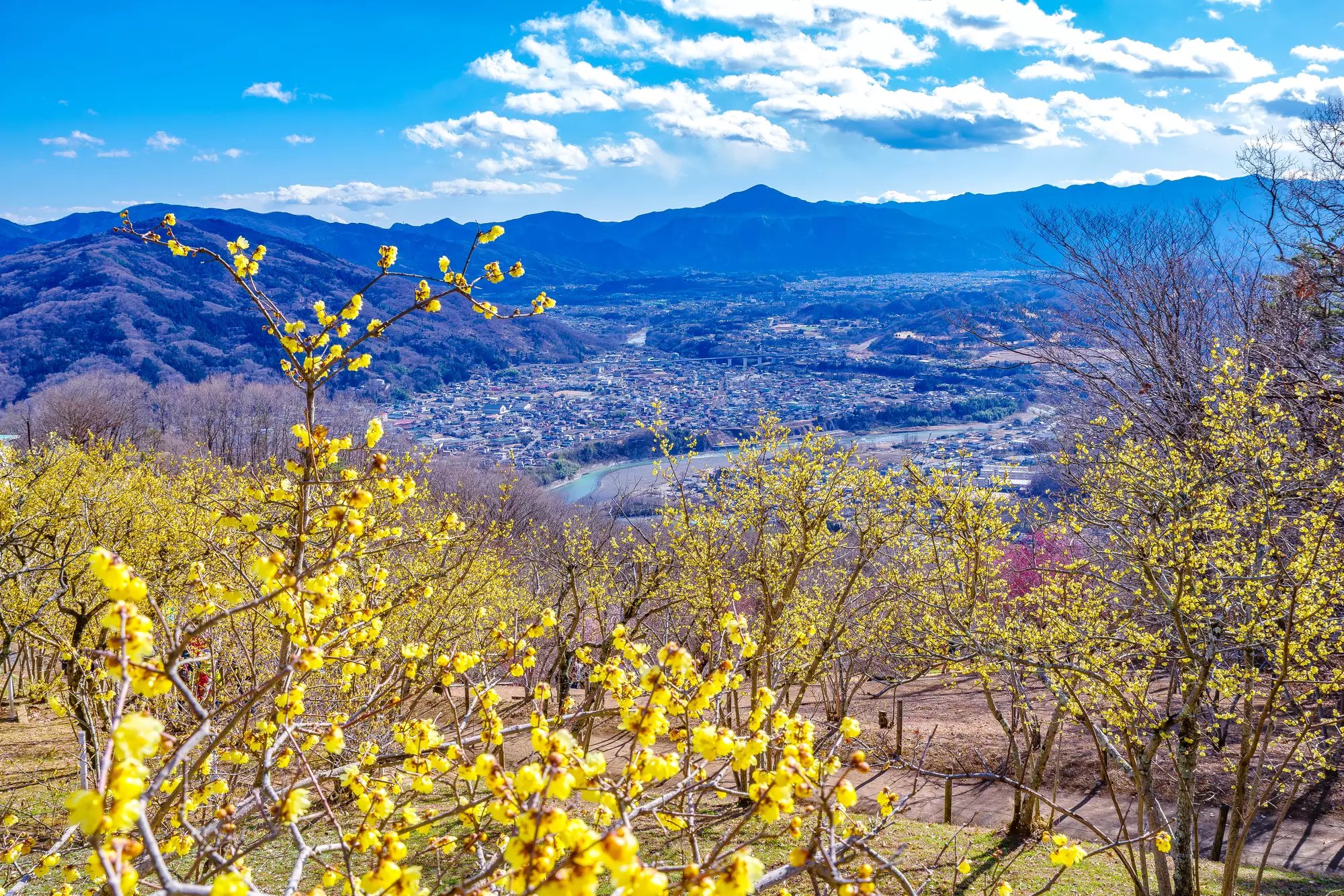 3月に関東で登山するならこの山！お花見と絶景を楽しめる山5座