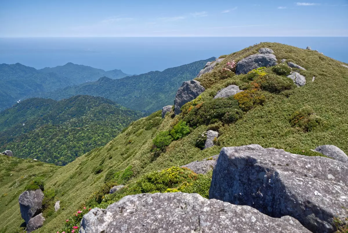 宮之浦岳山頂からの景色