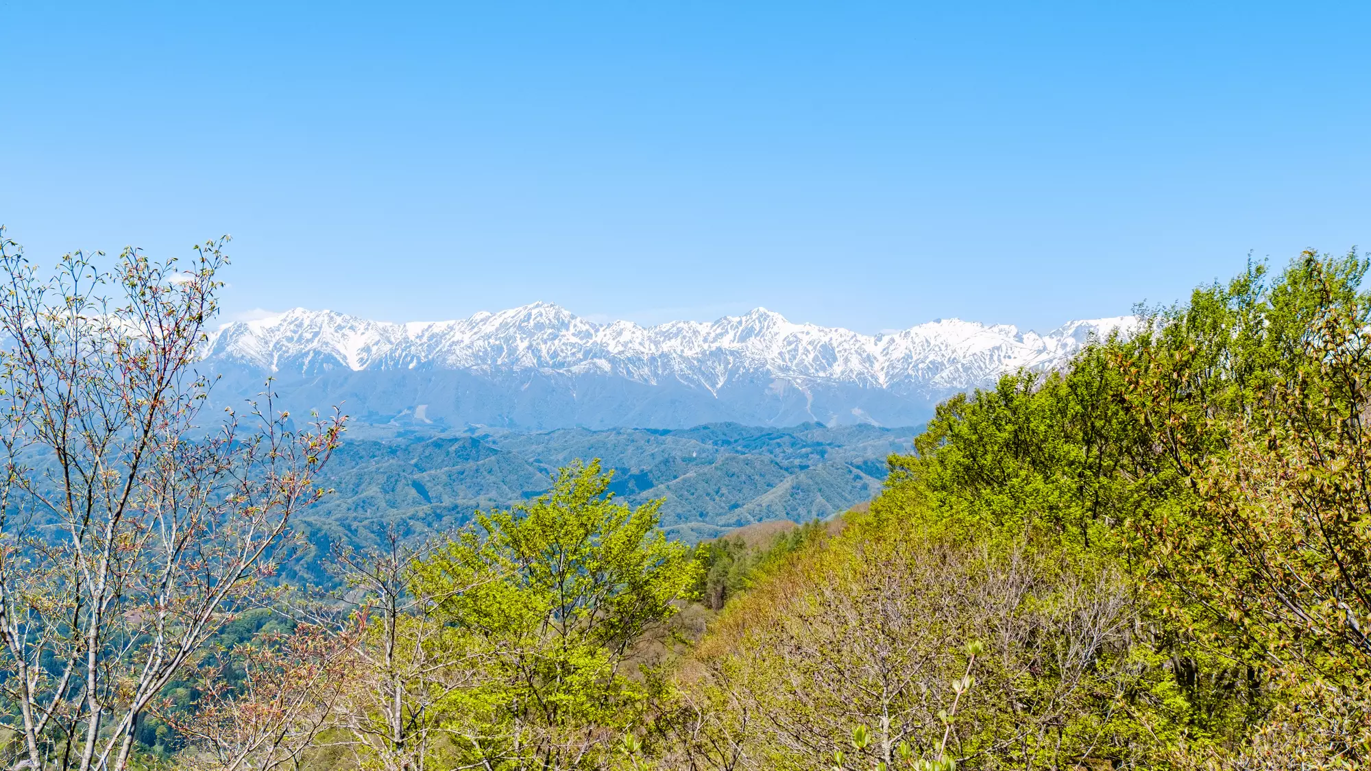 【日帰り登山】信州の山を見渡す360度の絶景。初心者も楽しめる虫倉山の難易度別登山ルート紹介