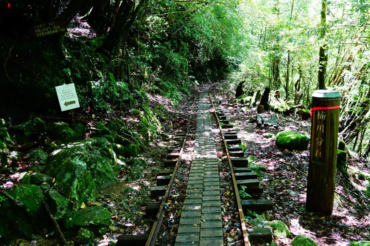 トロッコ道と楠川分れの標識