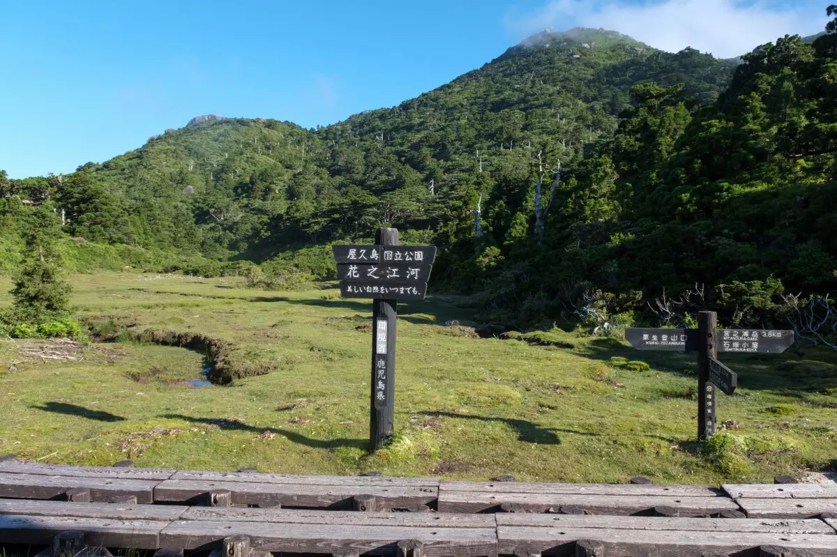 花之江河と木道