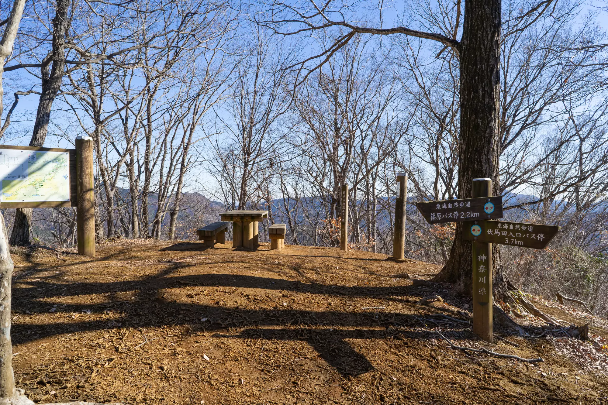 【日帰り登山】春の女神ギフチョウの聖地！初心者から歩ける石砂山の難易度別ルート紹介