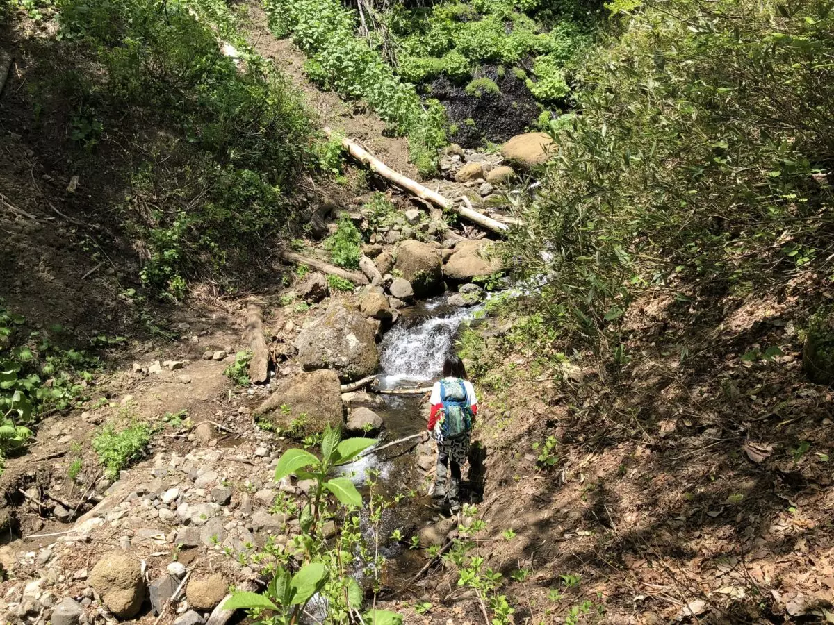 登山道と女性ハイカー 
登山　遭難