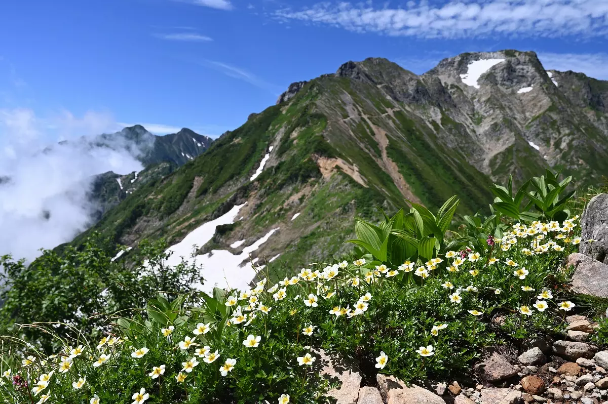 五竜岳登山-爽快な稜線歩きを楽しむ難易度別ルート紹介