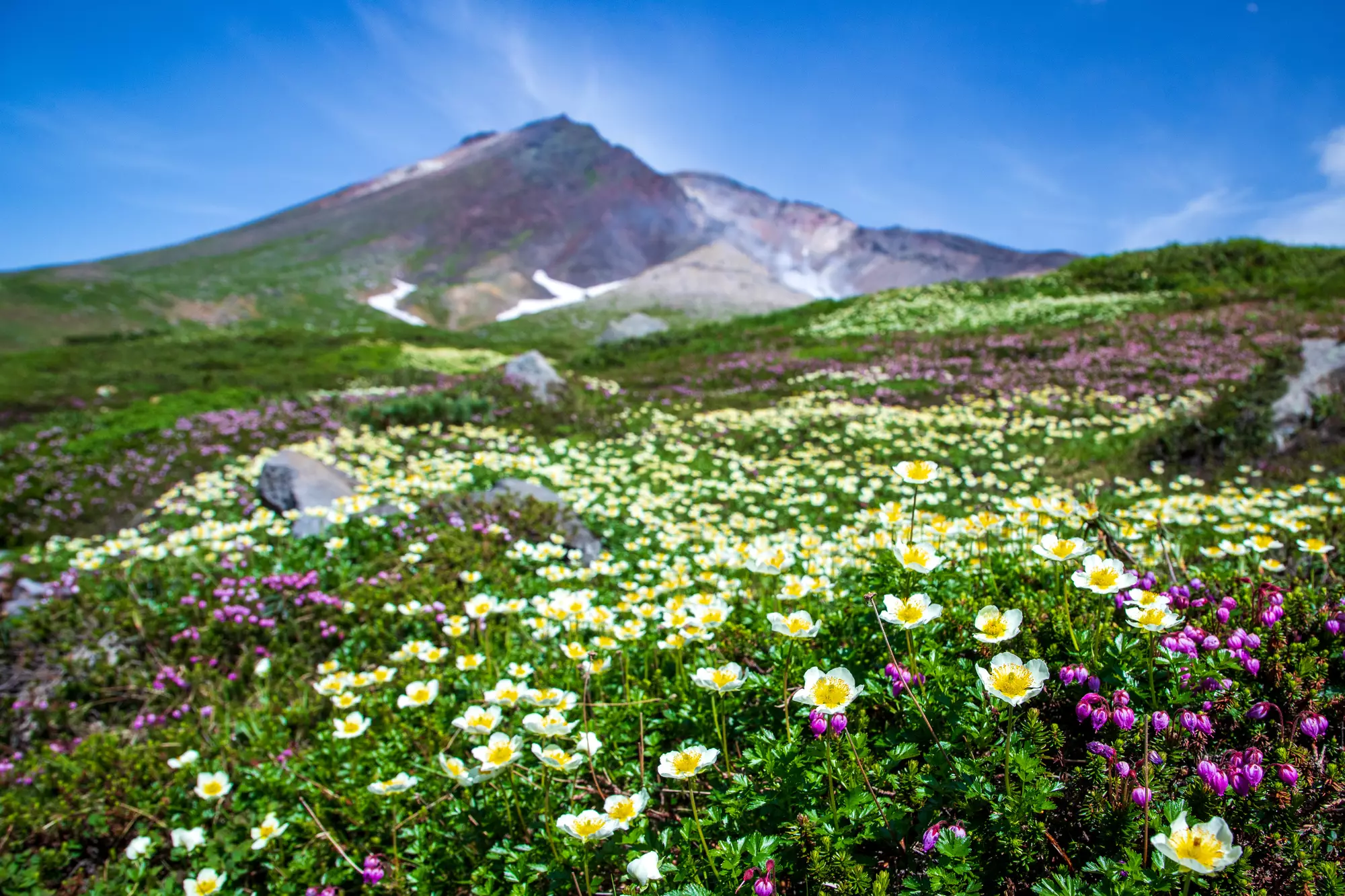 初心者でも登れる！関東の日本百名山で春夏におすすめの山7選
