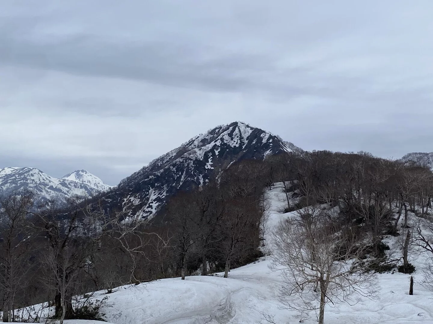 堂津岳